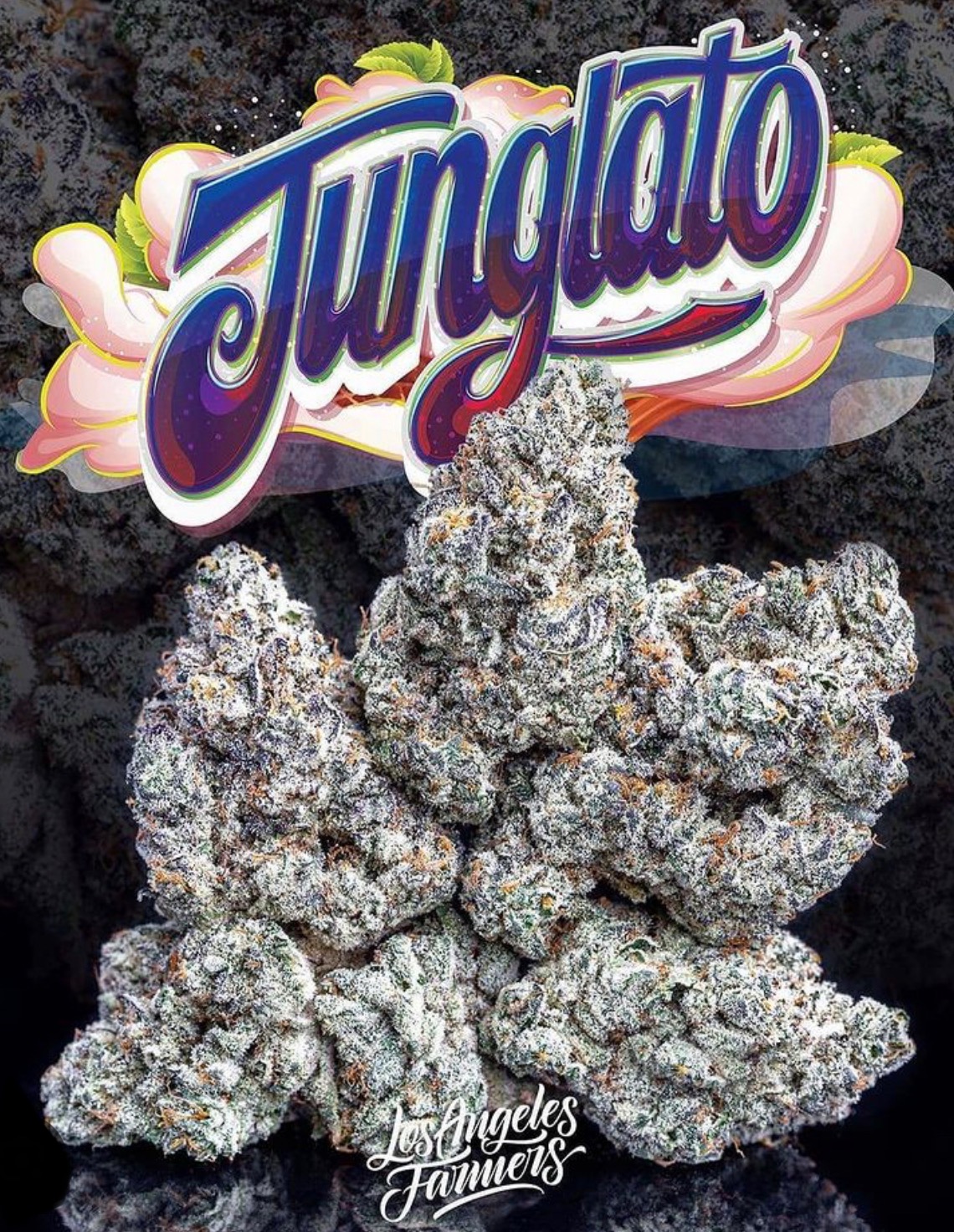 Junglato - Jungle Boys Cannabis - 3.5g
