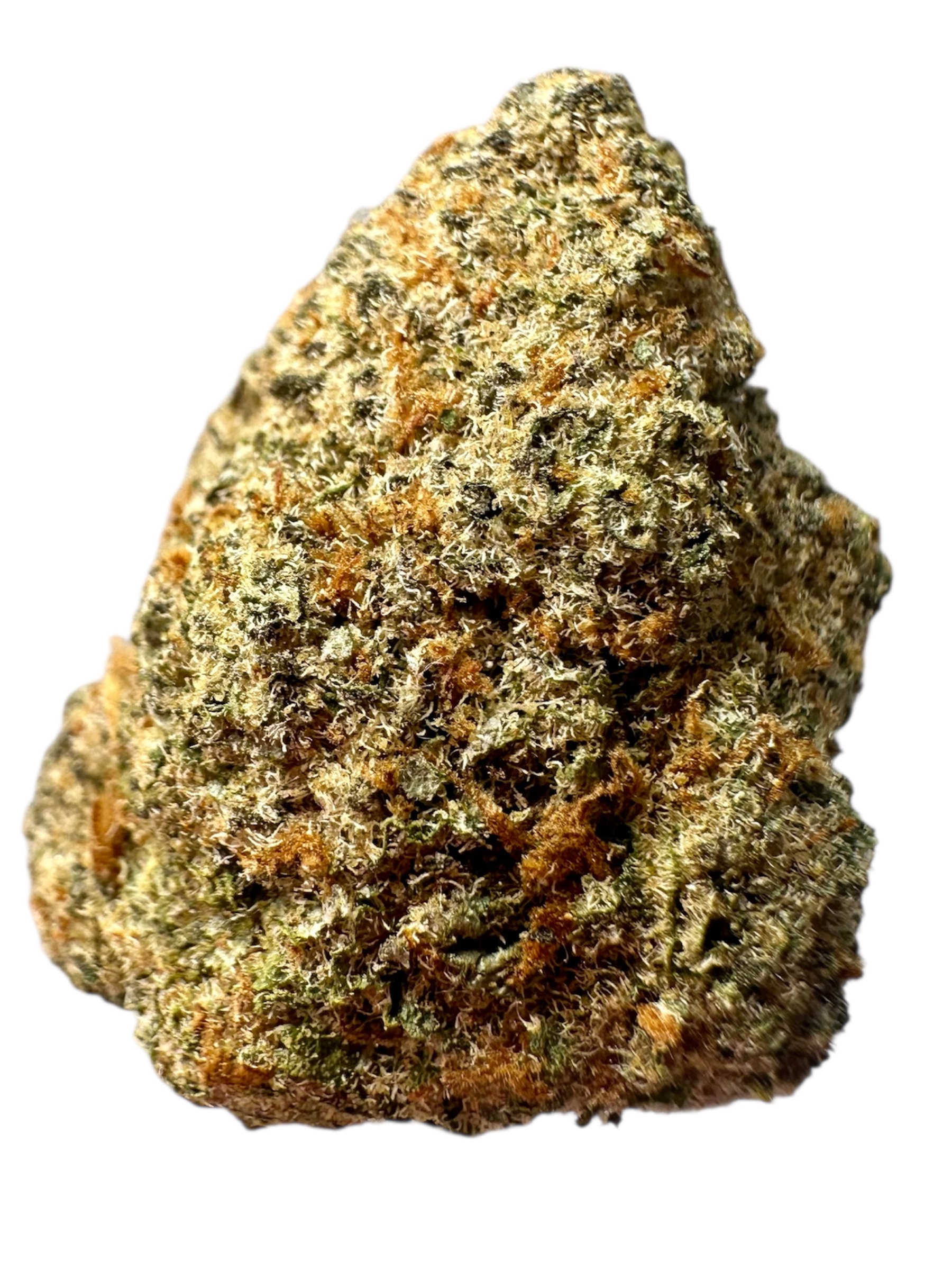 Biscotti - 7g