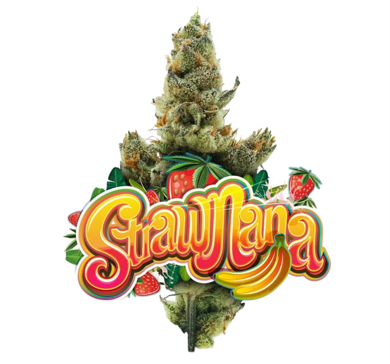 Strawnana - Jungle Boys Cannabis - 3.5g