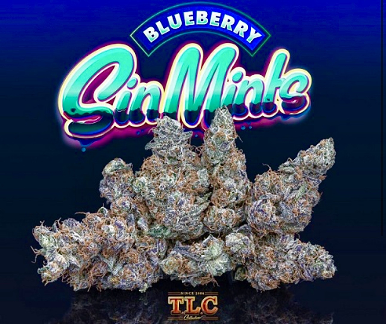 Blueberry Sin Mints - Jungle Boys Cannabis - 3.5g