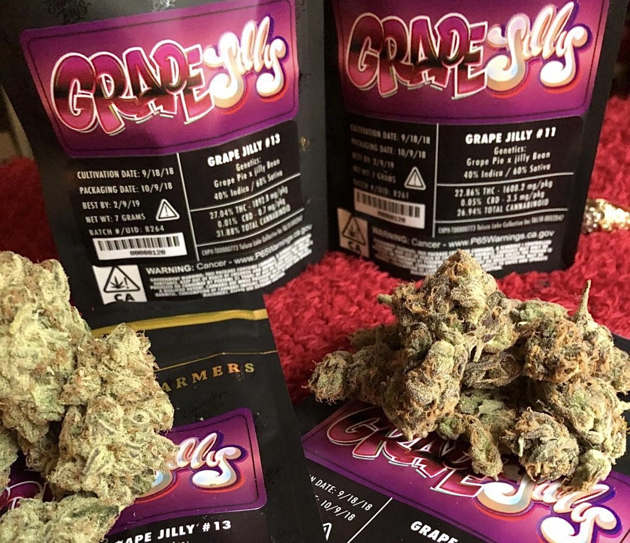 Grape Jilly - Jungle Boys Cannabis - 3.5g