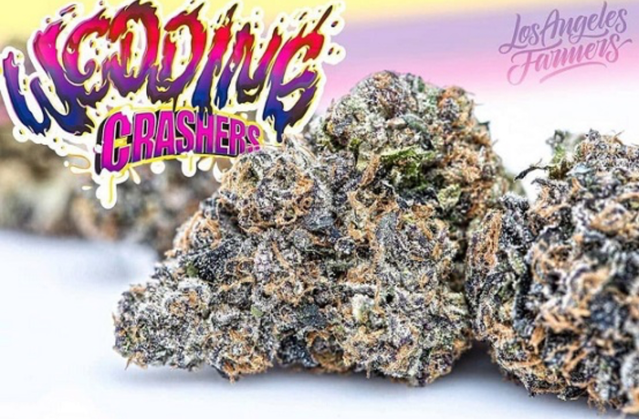 Wedding Crashers - Jungle Boys Cannabis - 3.5g