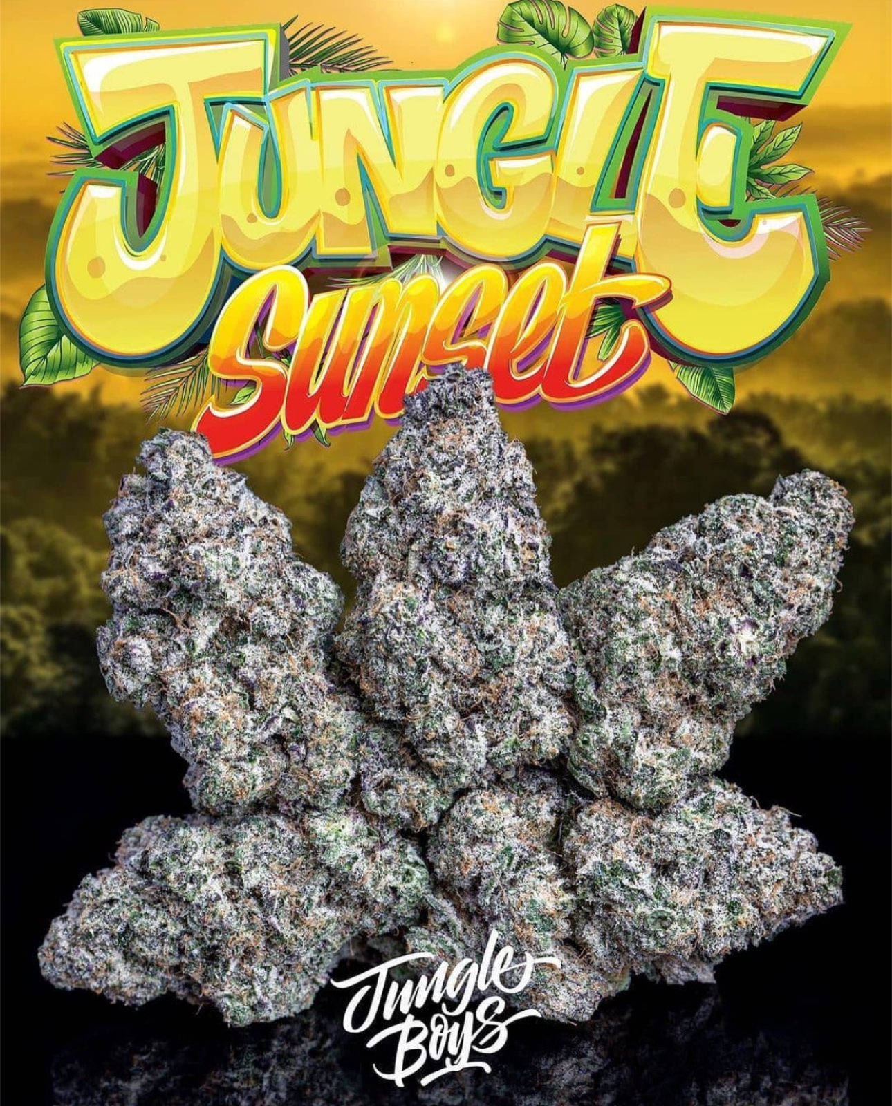 Jungle Sunset - Jungle Boys Cannabis - 3.5g