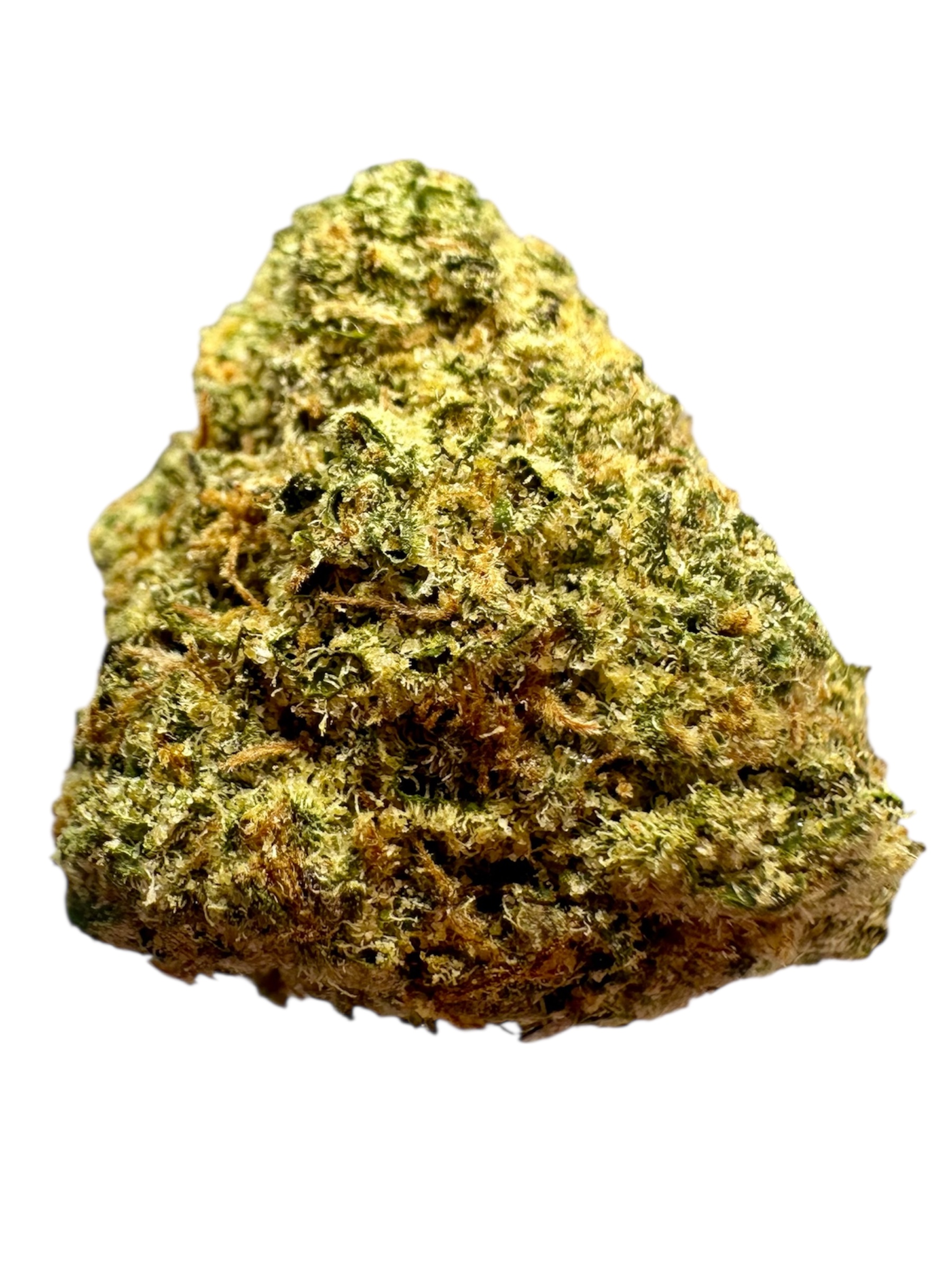King Tut - 7g