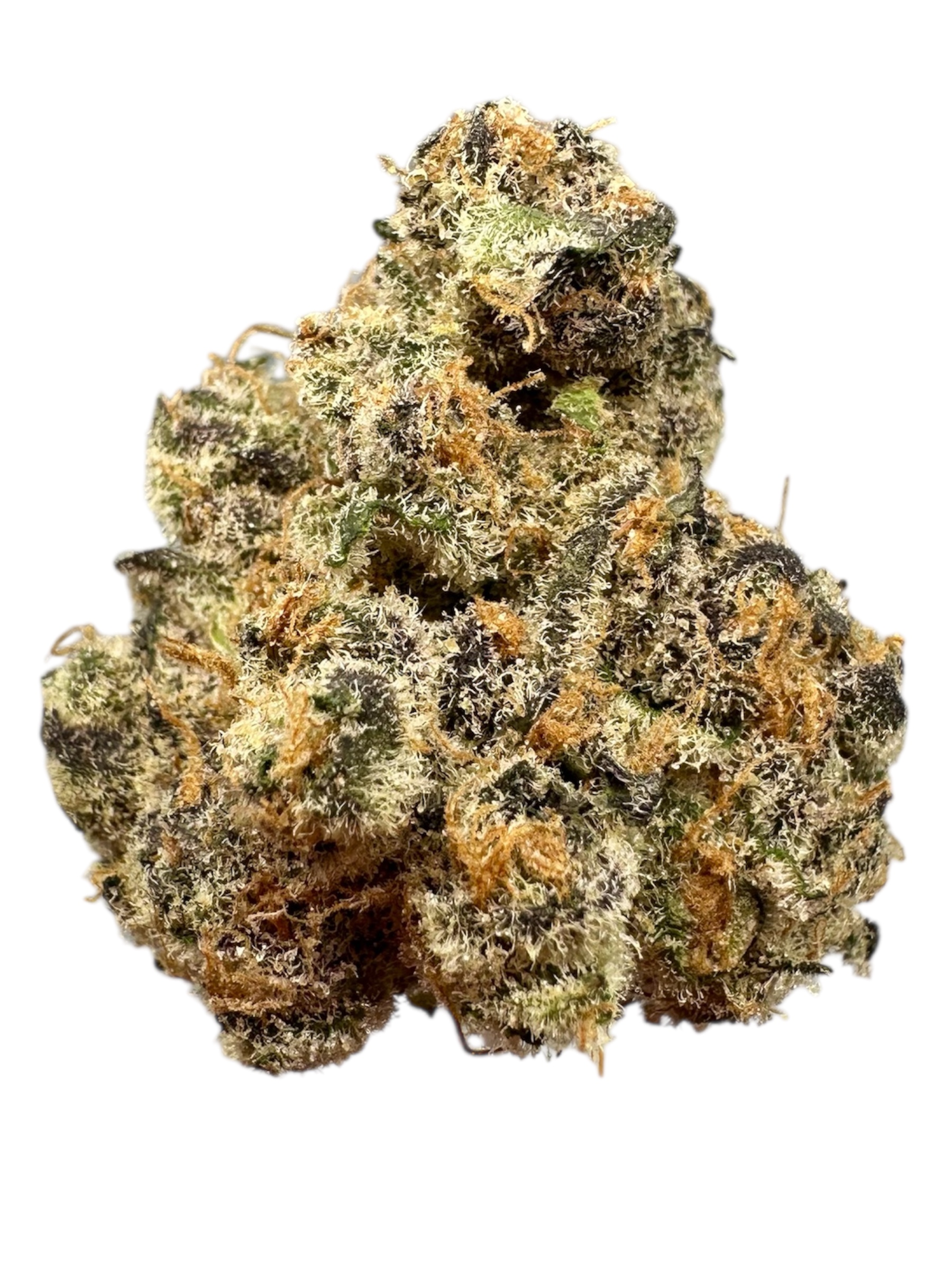 Watermelon Mimosa - 7g