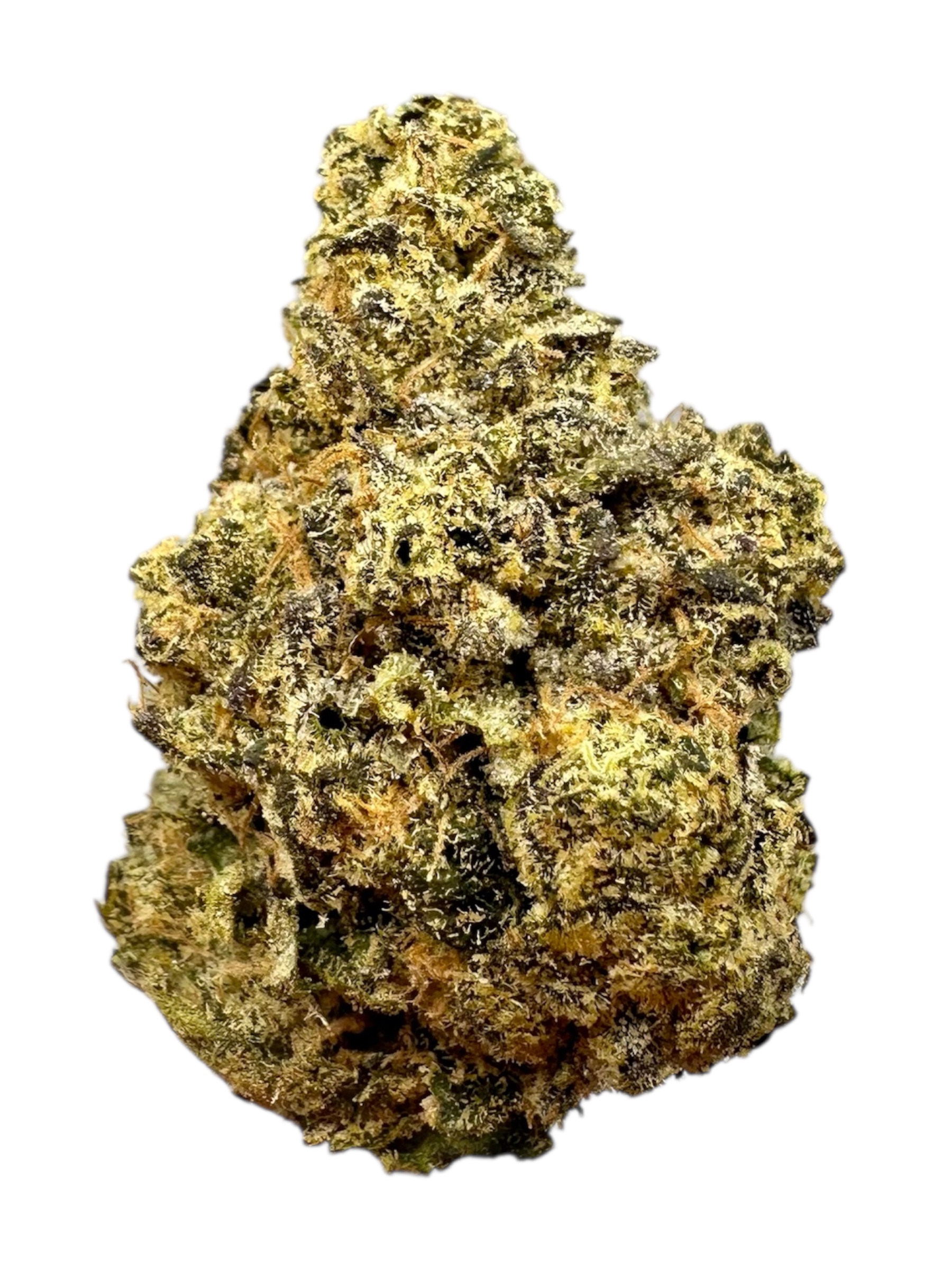 Biscotti Mintz - 7g