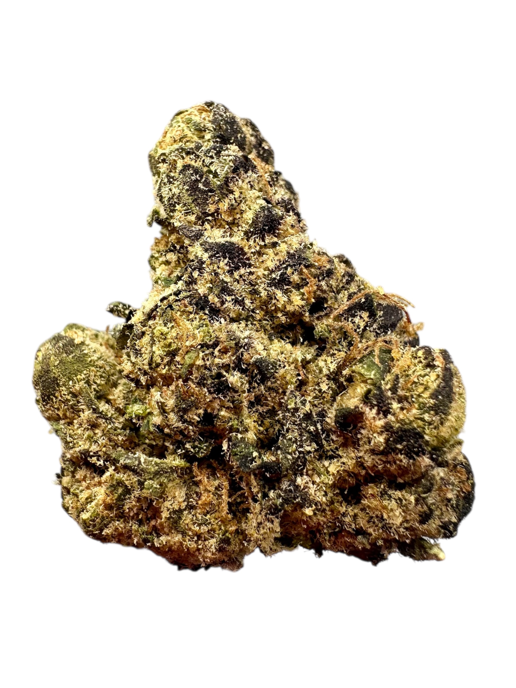 Chimera (H) - 7g