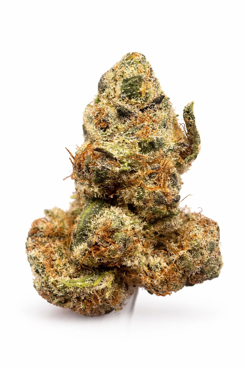 Mango Cake – 7g