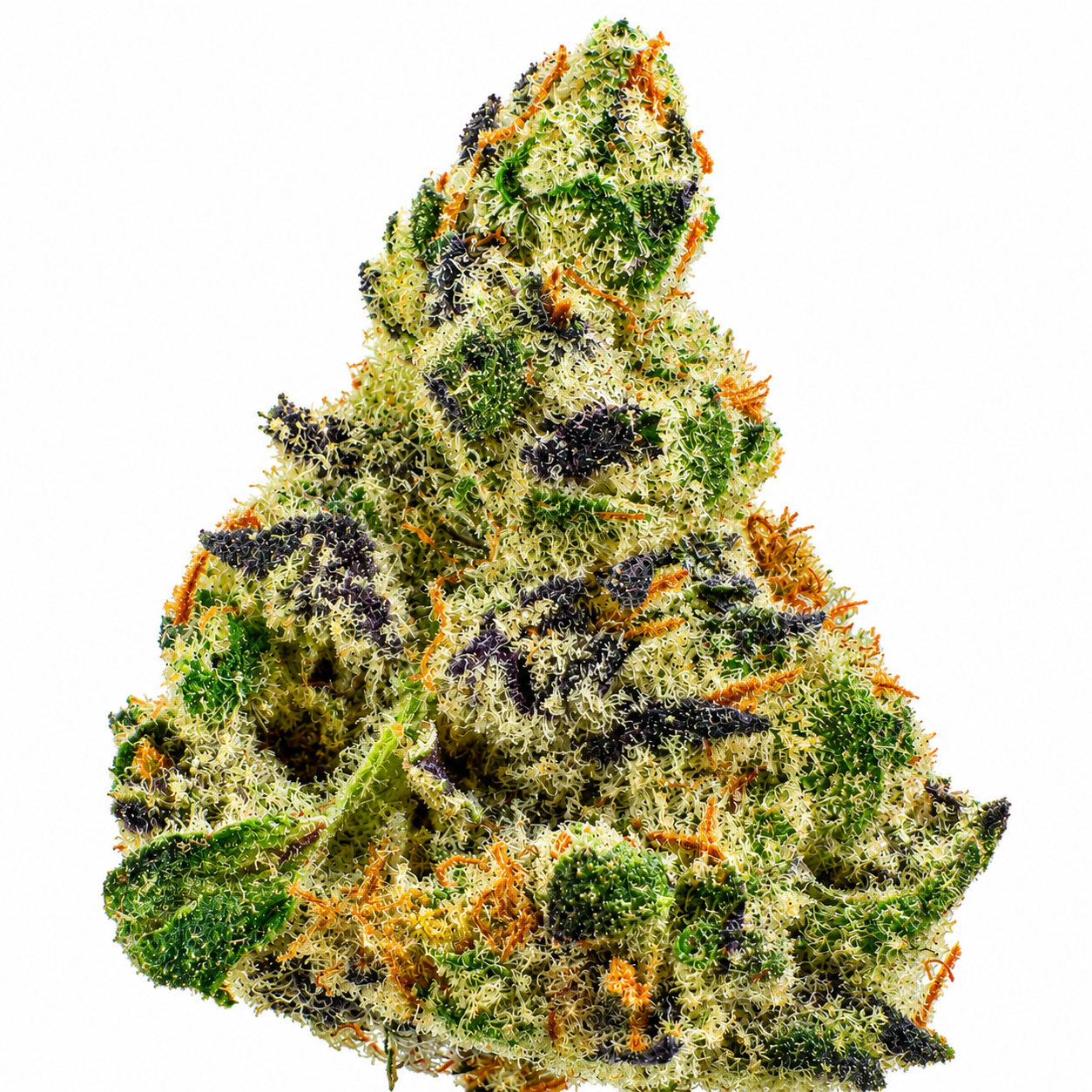 Galactic Grapefruit (S) - 7g