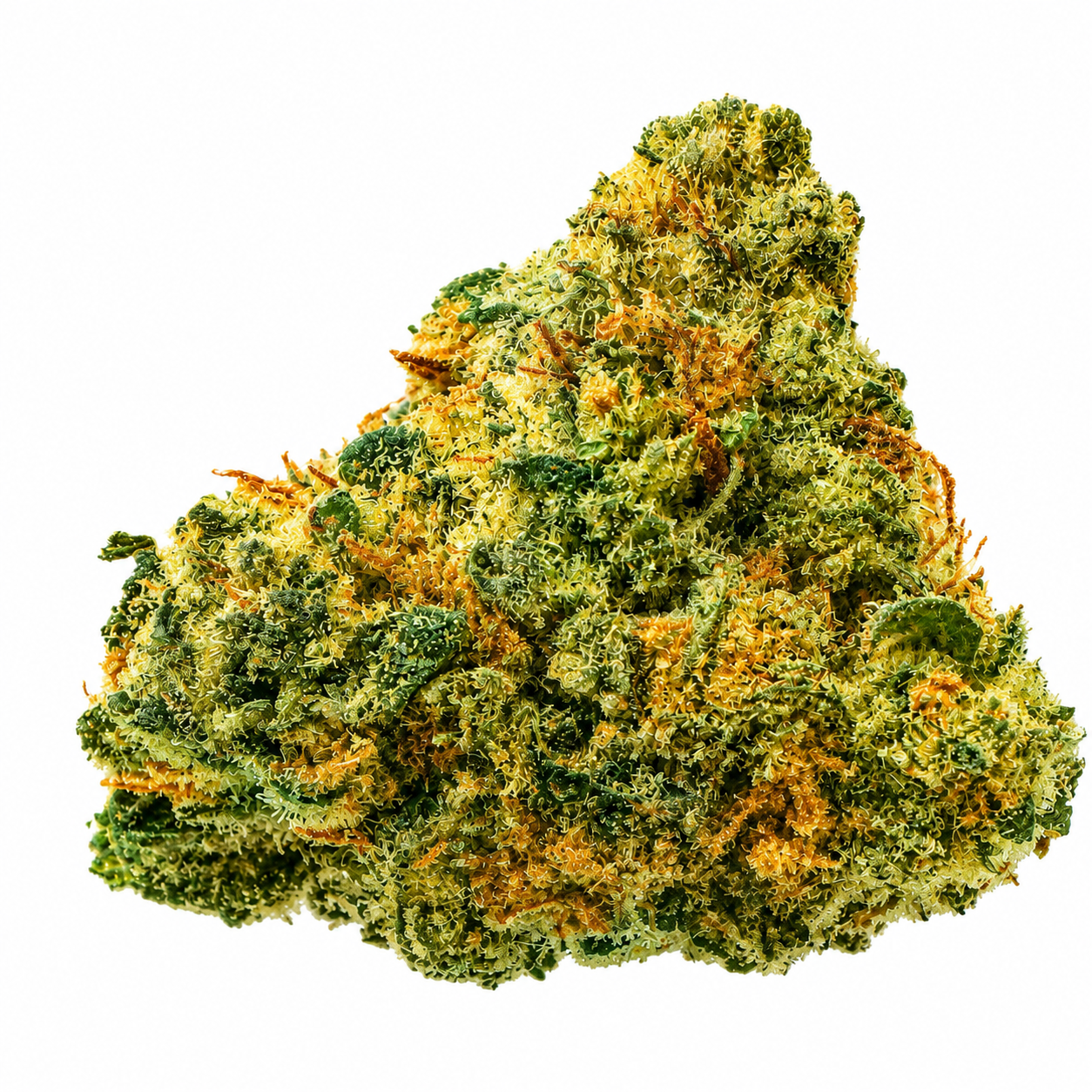 Cookie Dawg (H) - 14g