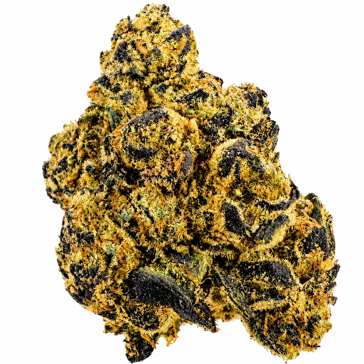  Royal Purple Kush (I) – 7g