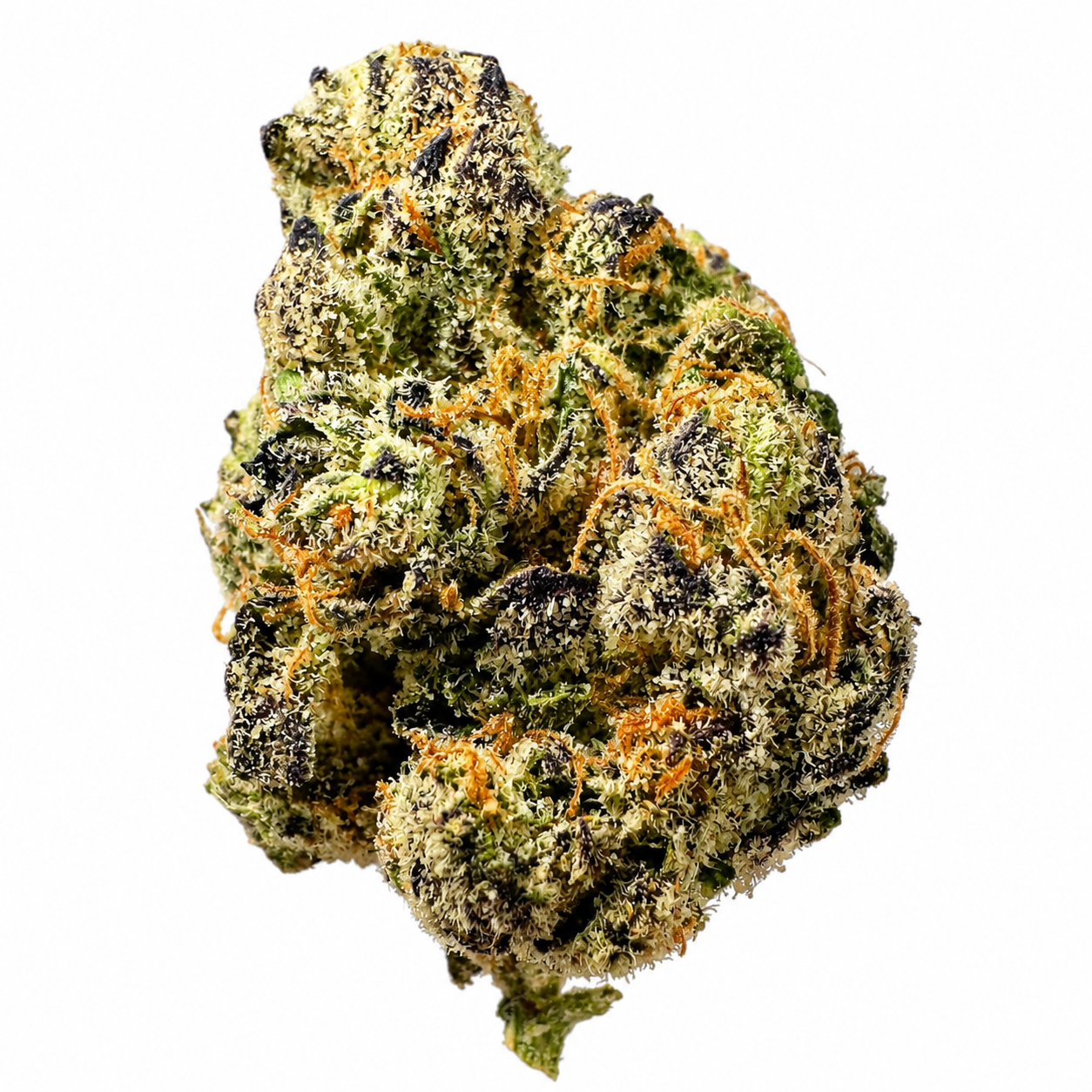 Pure Michigan (H) - 7g