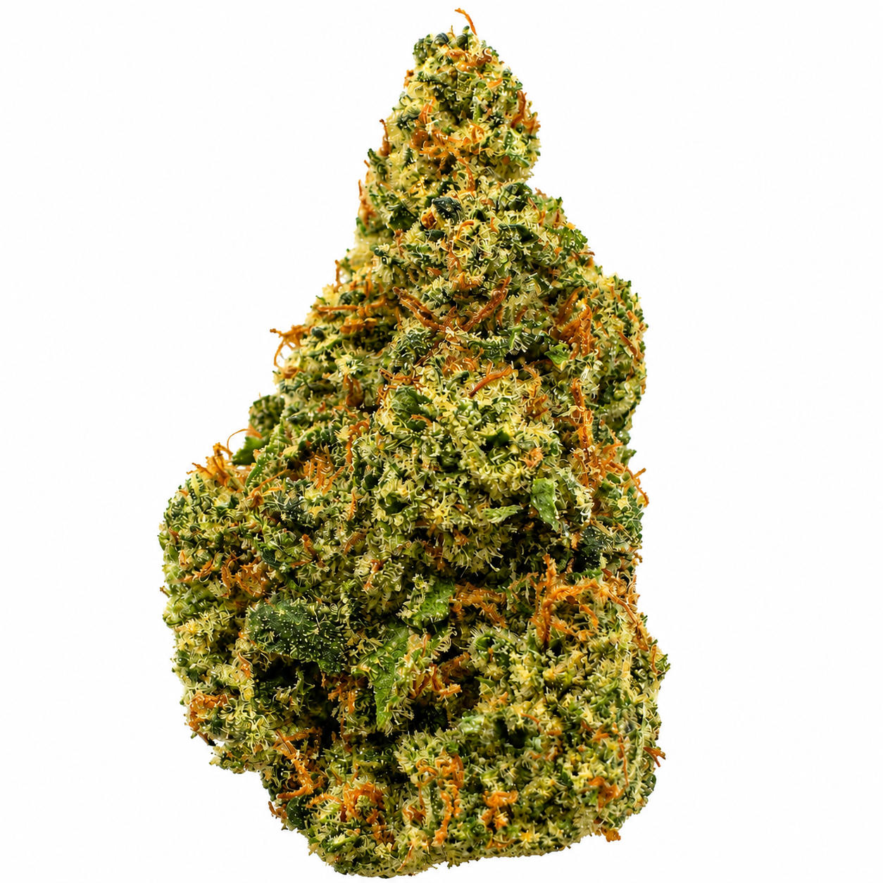 Xeno (H) - 7g