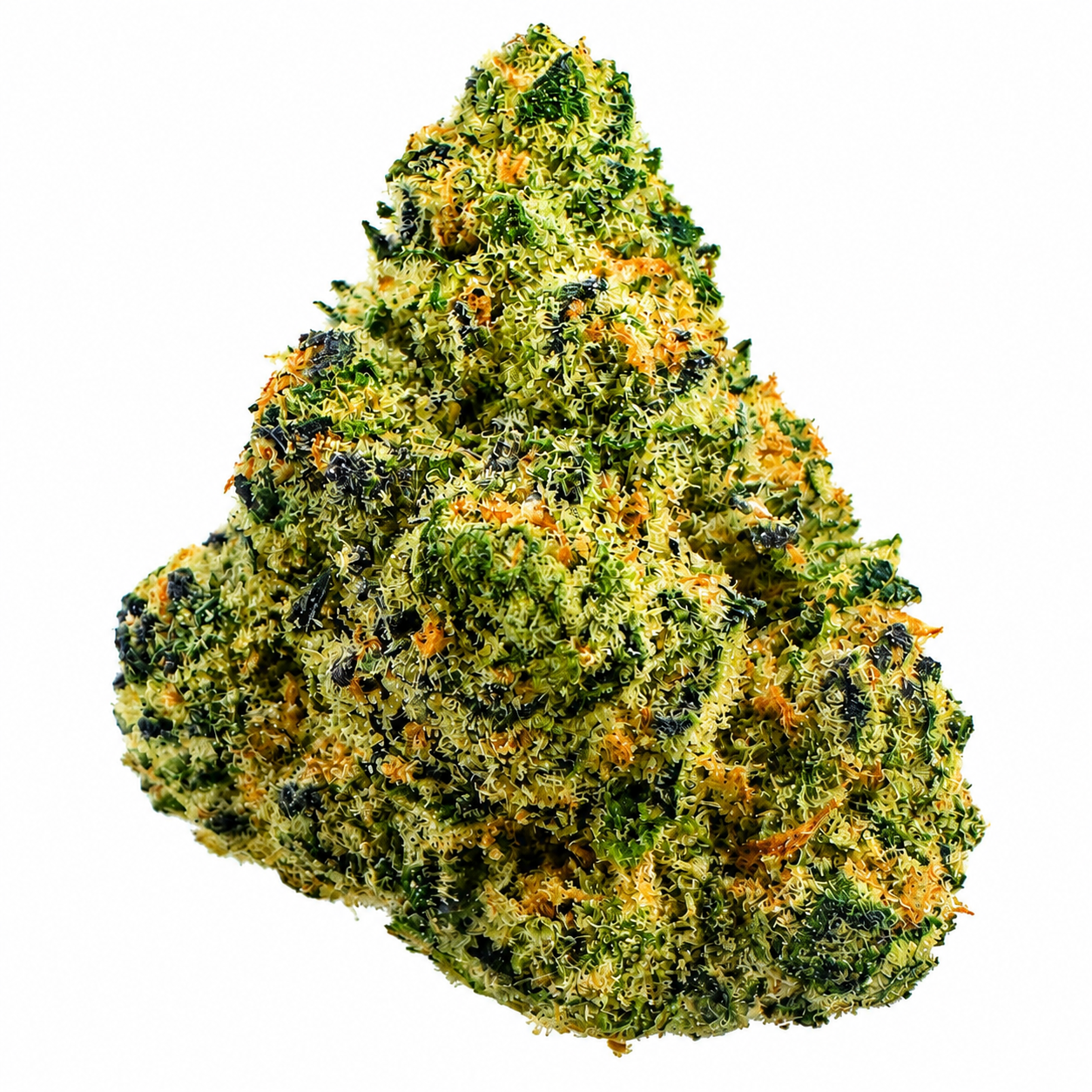 Jokerz (H) -7g