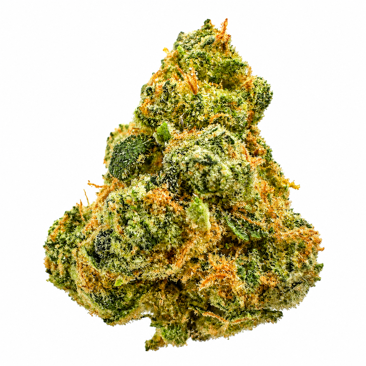 Watermelon Z (I) - 14g