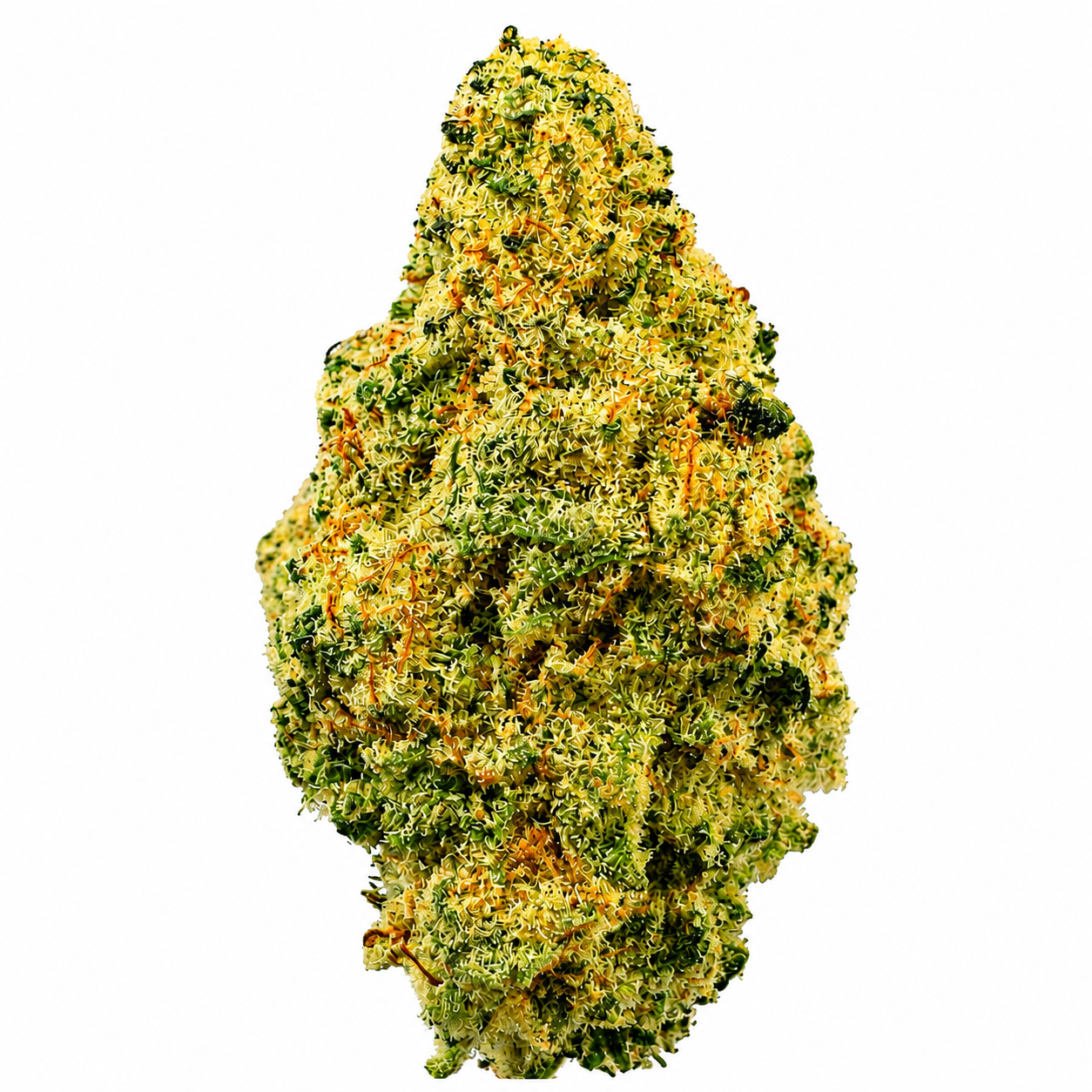 White Durban (S) - 14g