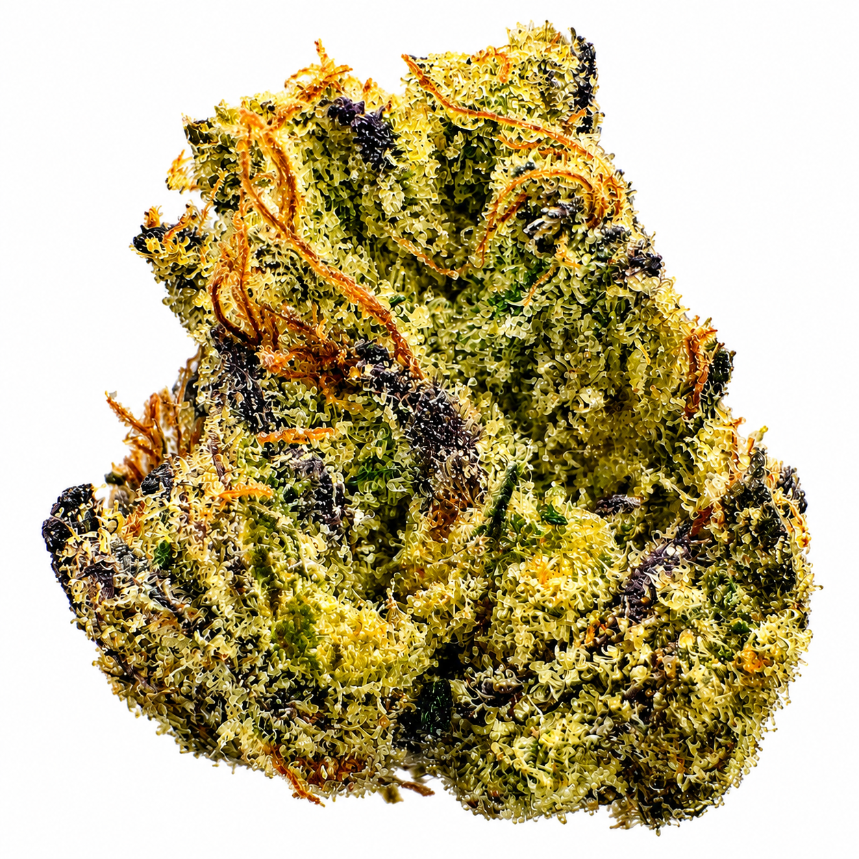 Appleberry (I) - 14g