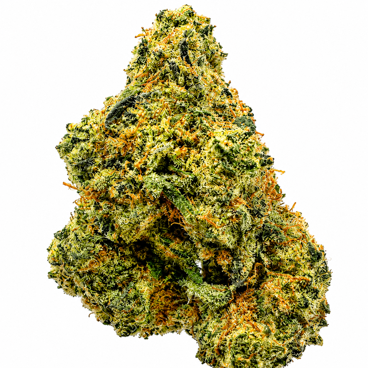 Chocolope (S) -7g