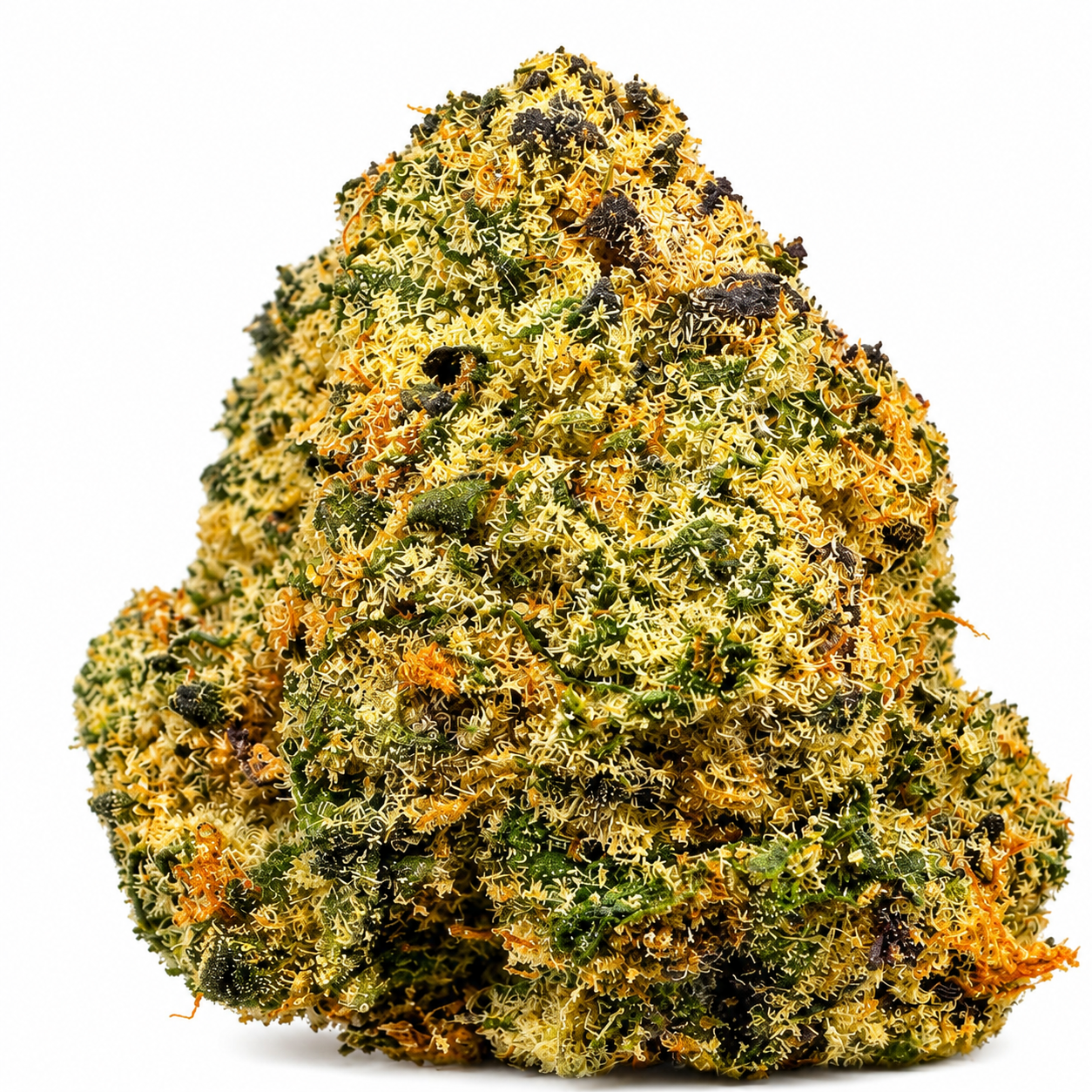 The Cough (S) - 7g