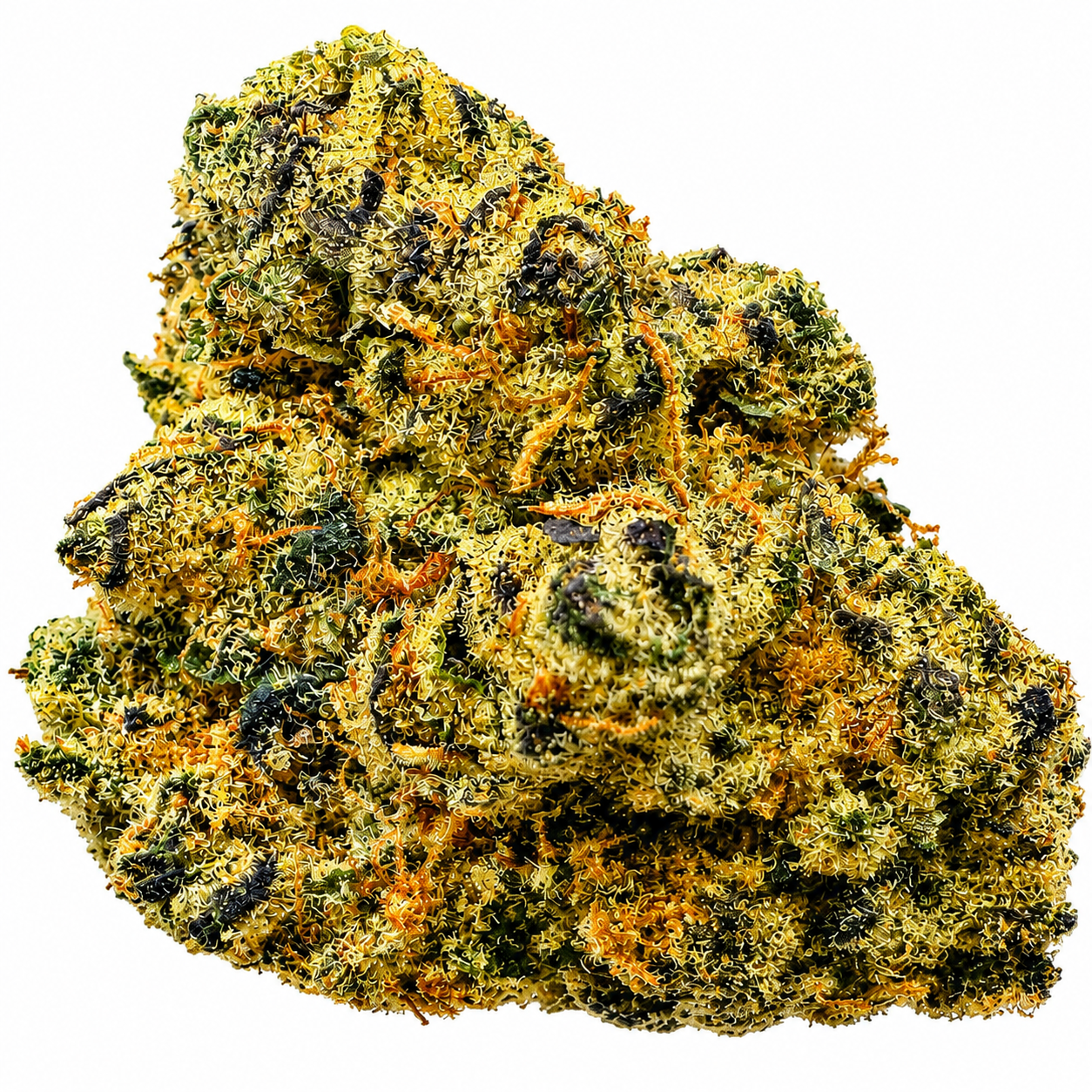 Sugar Spritz (S) - 7g