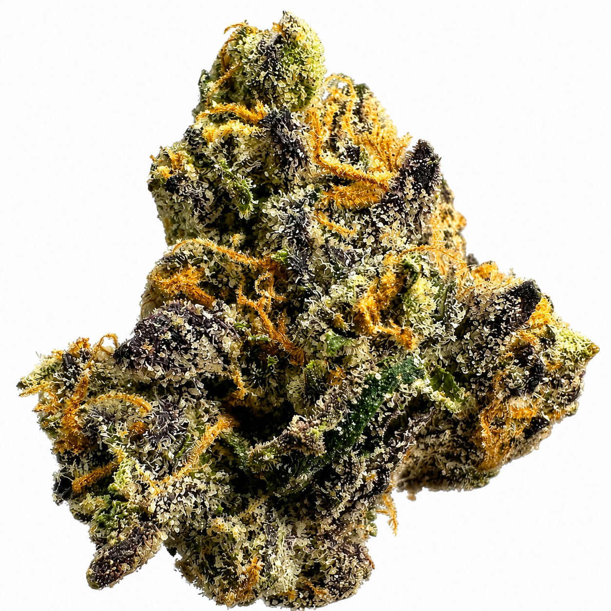 GMO Cookies (H) - 7g