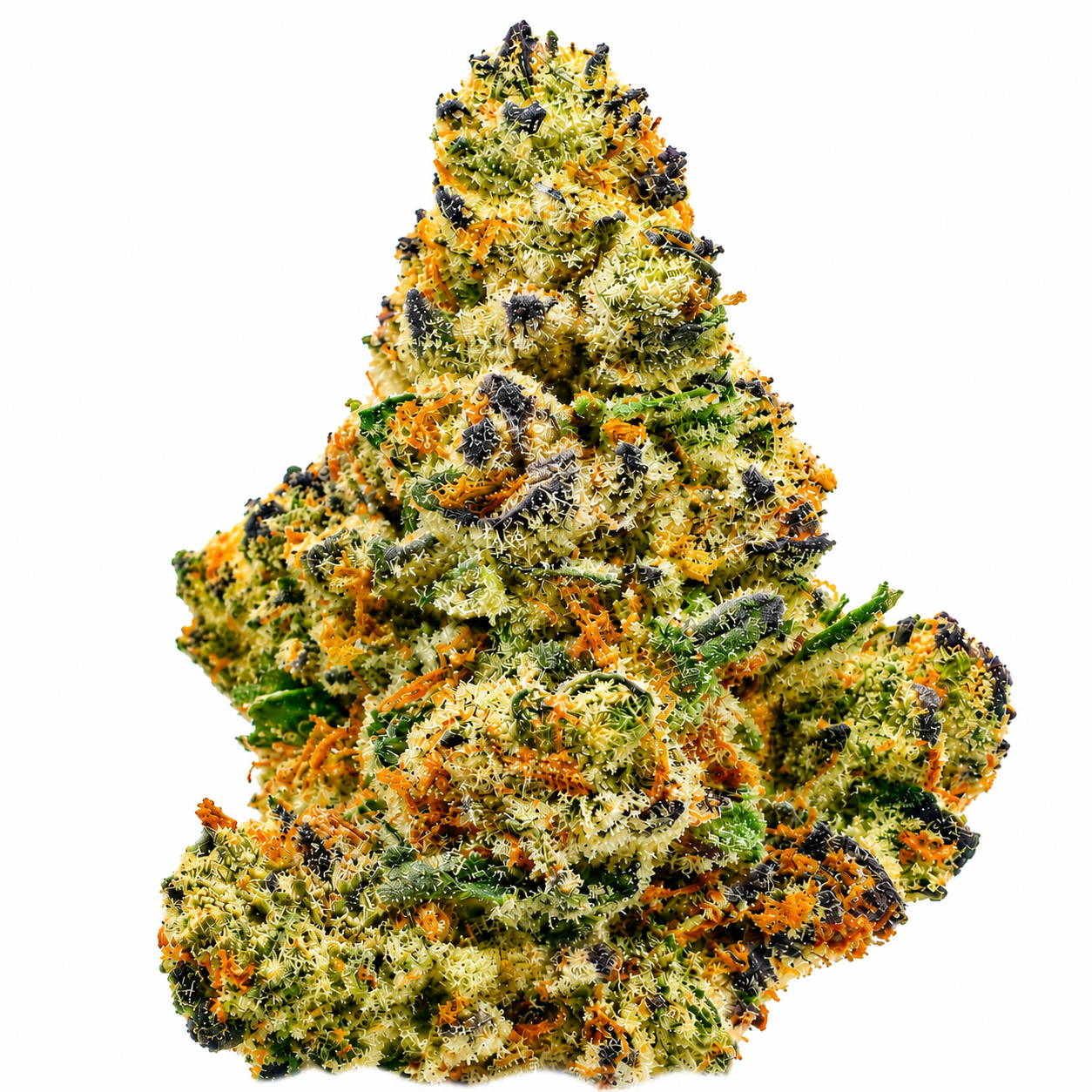 Gas Face (H) - 14g