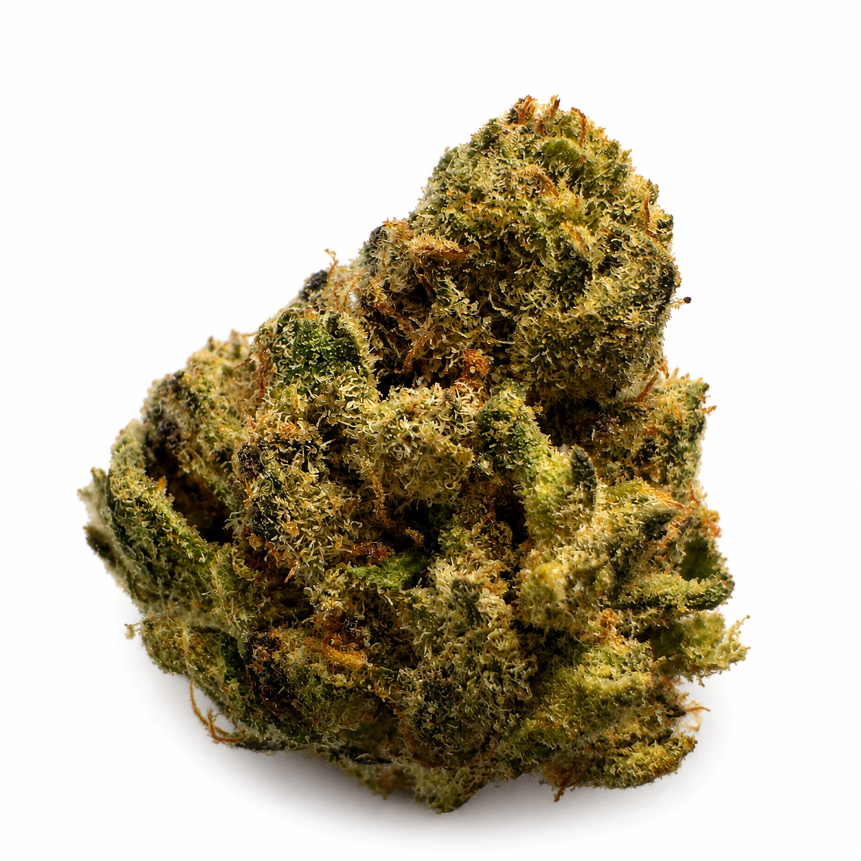 The Cough (S) - 14g