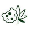 Test - Flower - 7g