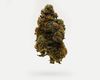 Testing Product – For Testing Purpose Only - Magic and Psychedelics