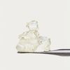 Raw Garden –Crushed Diamonds - 1g