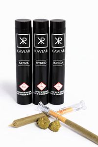 Classic Kaviar Cone  - Infused Pre-roll - 1.5g