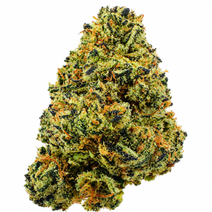 King Louis (I) - 7g