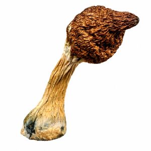 Blue Meanie – 3.5g