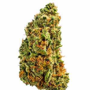 Churro (H) - 7g