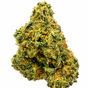  Chocolope (S) -7g