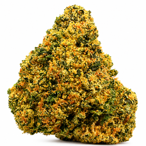 Slurricane (I) - 7g