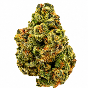 SFV OG (H) - 14g