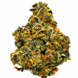Apricot Auto (I) - 7g