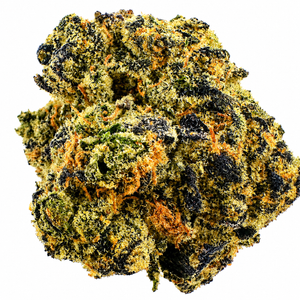 Durban Princess (S) - 7g