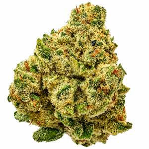 Lemon Bean (S) - 14g