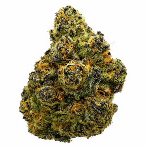 Grape Soda (H) - 7g