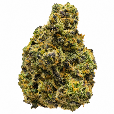 Burkle (I) - 7g Burkle (I) - 7g